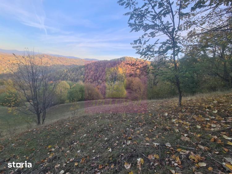 Teren de 3092 mp, în Scorțeni