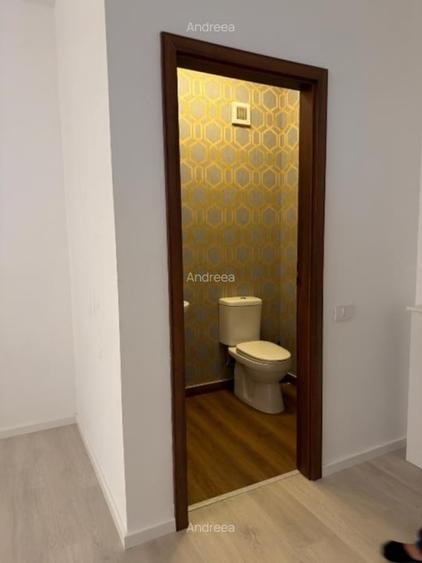 Apartament cu 2 camere semidecomandat, mobilat în Herăstrău
