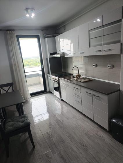 Apartament de inchiriat intre lacuri - 1