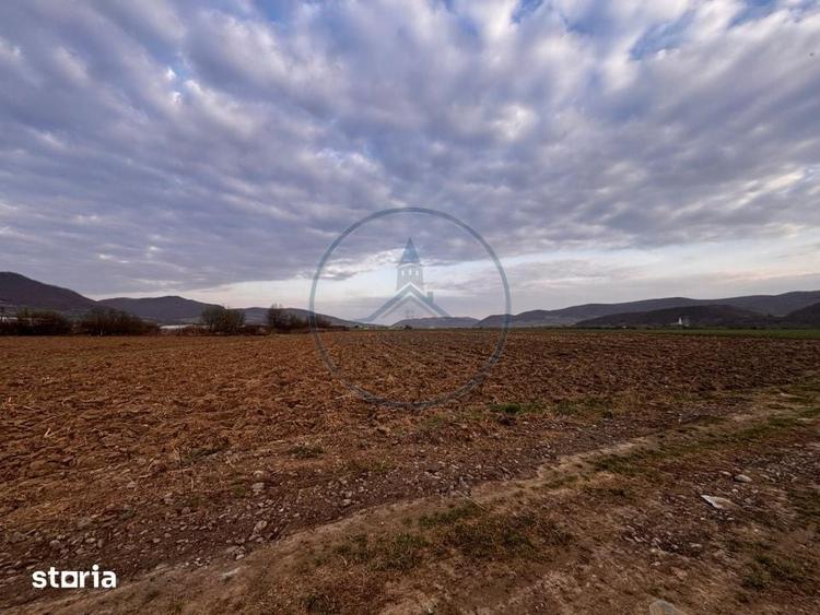 Teren de 2500 mp, în Șieu