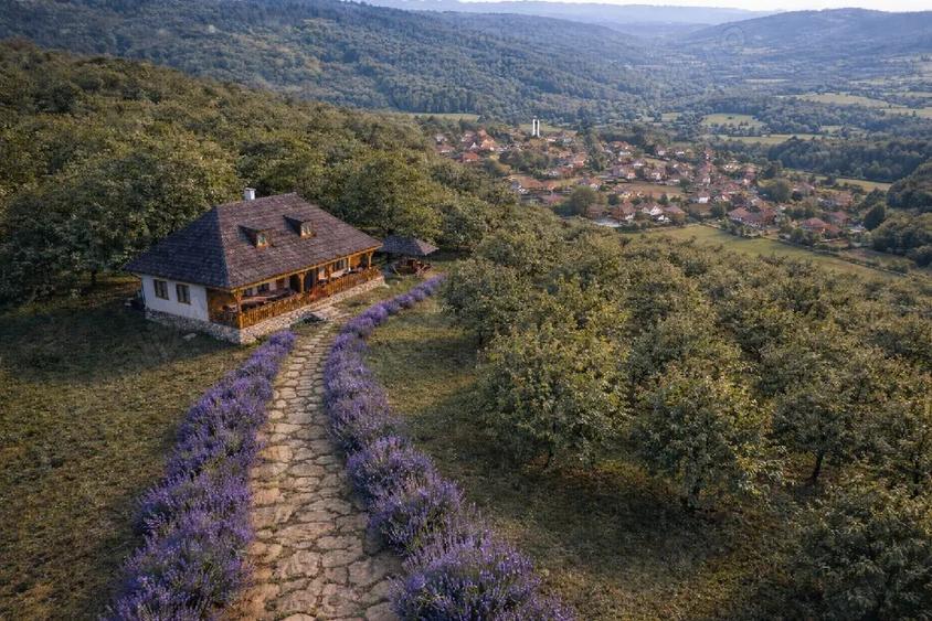 Teren de 7000 mp, în Dorobanț