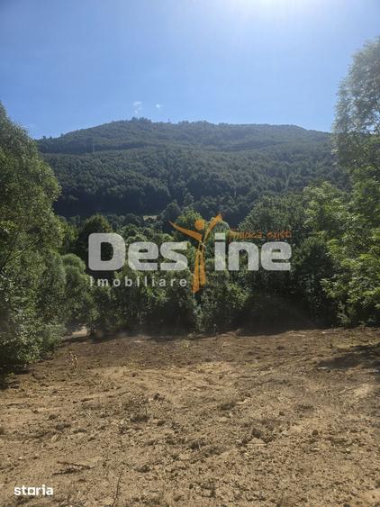 Teren Valea Doftanei, zona Pe Vale - Baraj Paltinu - 4