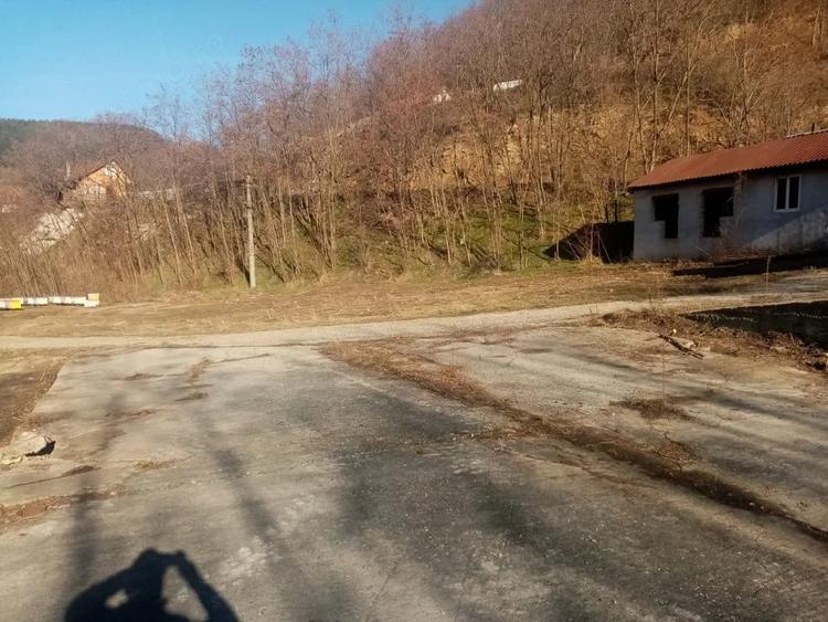 Teren de 7432 mp, în Săsciori