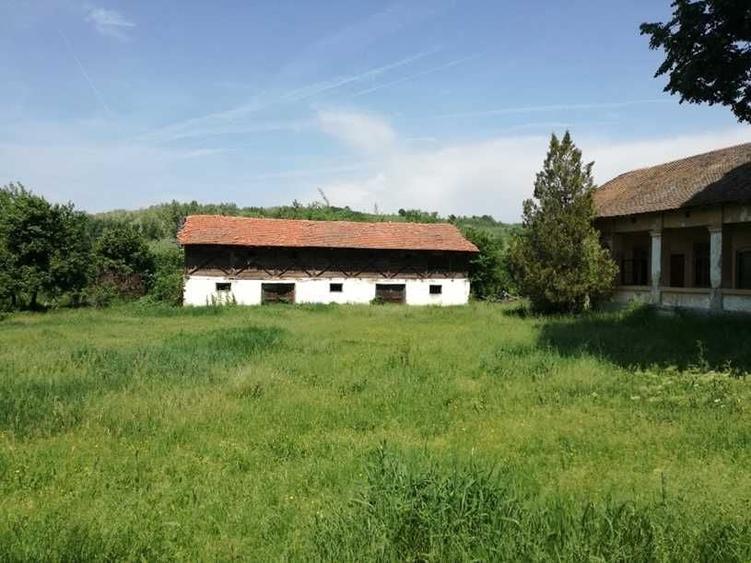 Spațiu comercial, în Vladimir