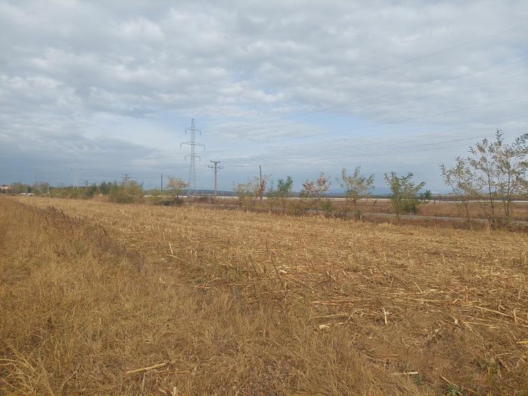 Teren Construcții intravilan de 9844 mp, în Dumbrava