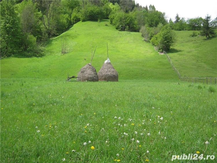 Teren de 2800 mp, în Dâmbovicioara