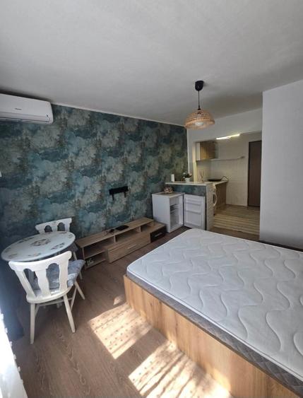 Garsoniera - zona Buziasului- 220 euro - 4