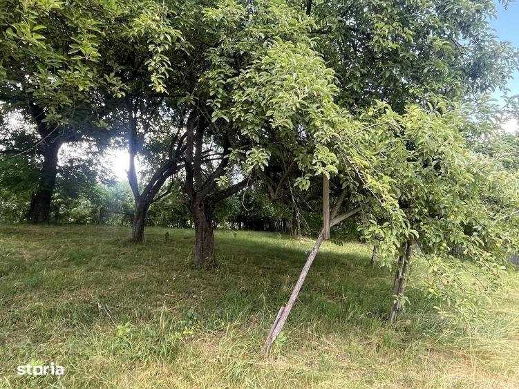 Casă cu 2 camere în Păpăuți