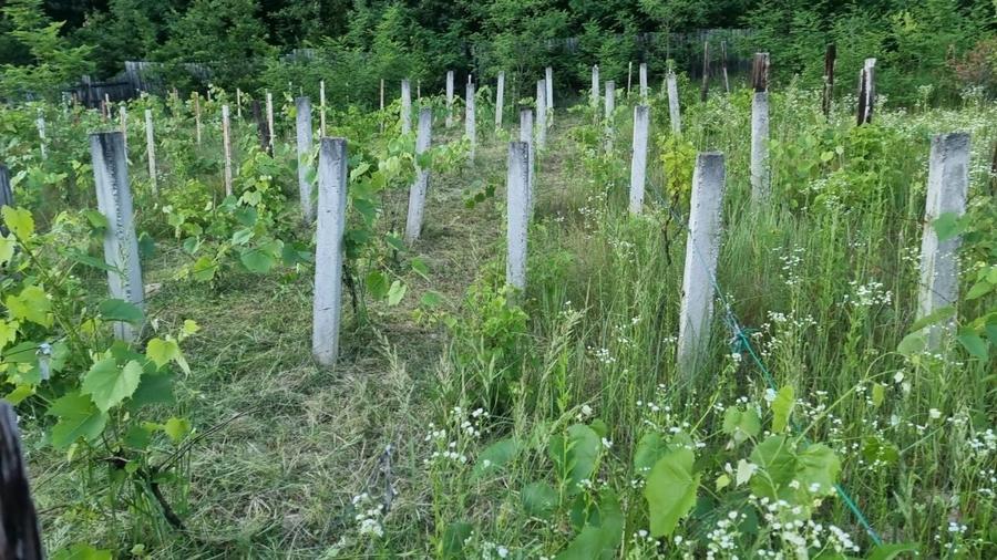 Casă individuală cu 3 camere cu Canalizare în Exterior Nord