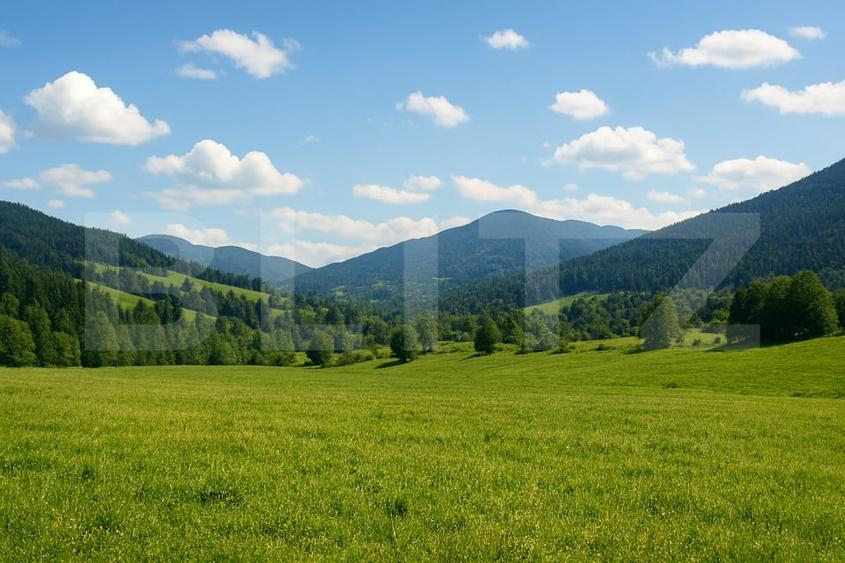 Teren Construcții intravilan de 7000 mp, în Exterior Vest