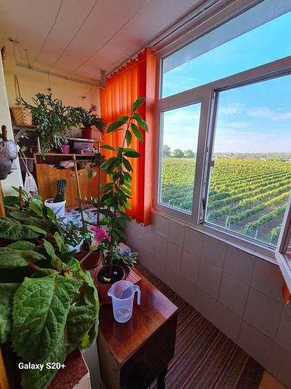 Apartament 2 camere Husi, jud. VS, mobilat, utilat - 6