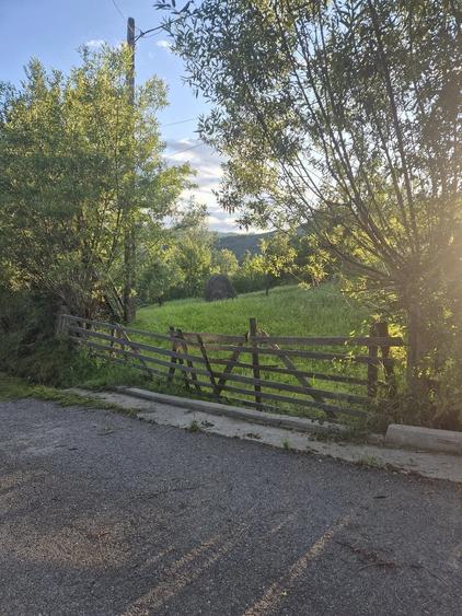 Teren de 2700 mp, în Valea Doftanei
