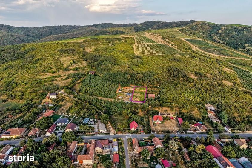 Teren de 1150 mp, în Miniș