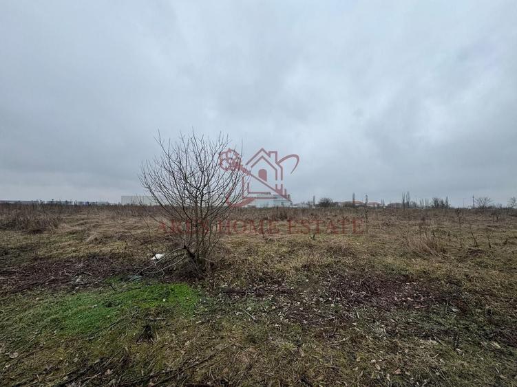 Teren agricol extravilan de 5751 mp, în Ghiroda
