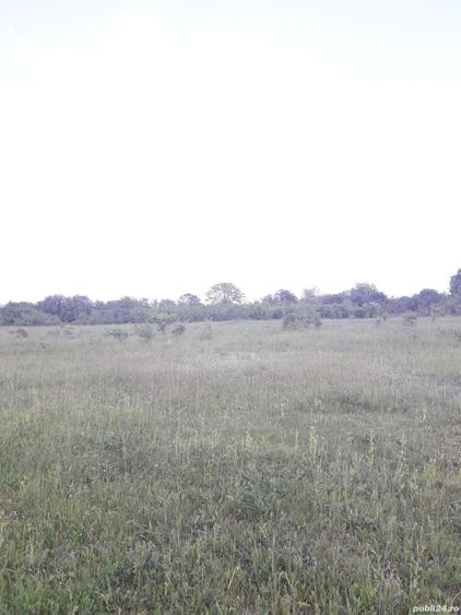 Teren de 2557 mp, în Iazu