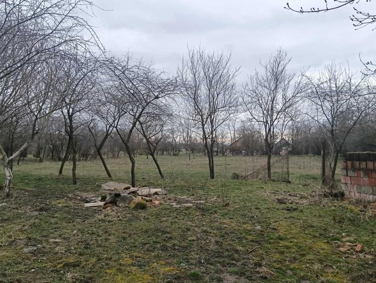 Casă cu 2 camere în Șemlacu Mare