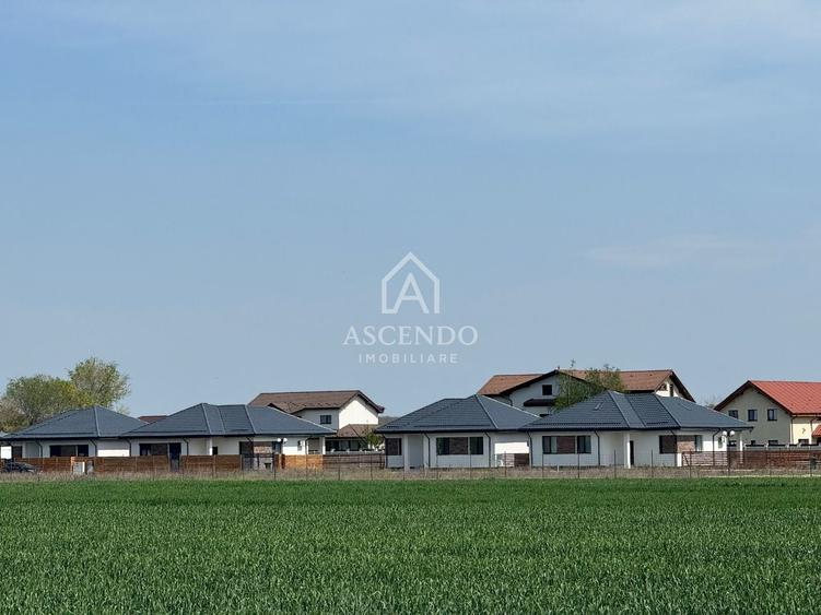 Teren agricol extravilan de 7000 mp, în Tamași
