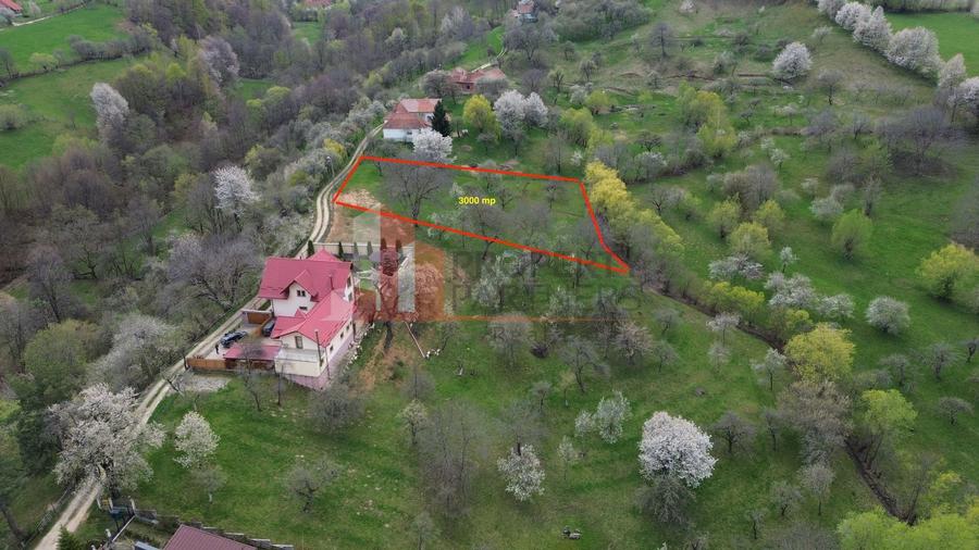 Teren Construcții intravilan de 3000 mp, în Bran