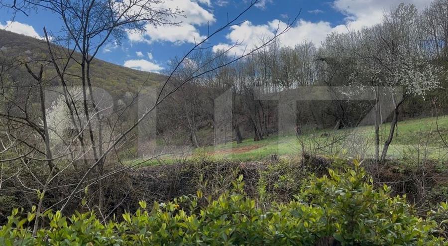 Teren agricol extravilan de 7000 mp, în Boiu