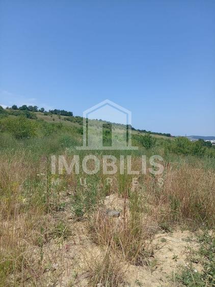 Teren Construcții intravilan de 8800 mp, în Calea Sighisoarei