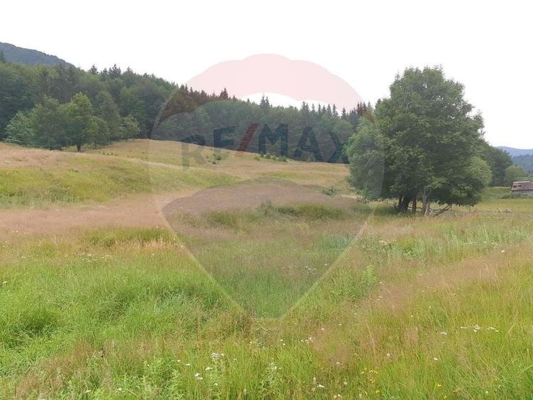 Teren agricol extravilan de 20000 mp, în Dălghiu