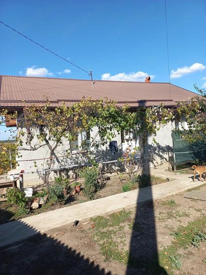 Casă cu Teren 1800 Mp în Drăgănești-Vlașca