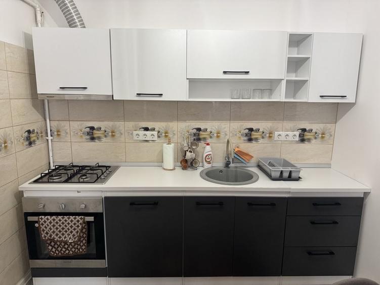 Apartament de inchiriat zona doamna Stanca, Dedeman - 8
