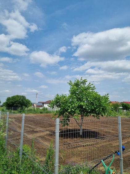Teren de 1134 mp, în Cornetu