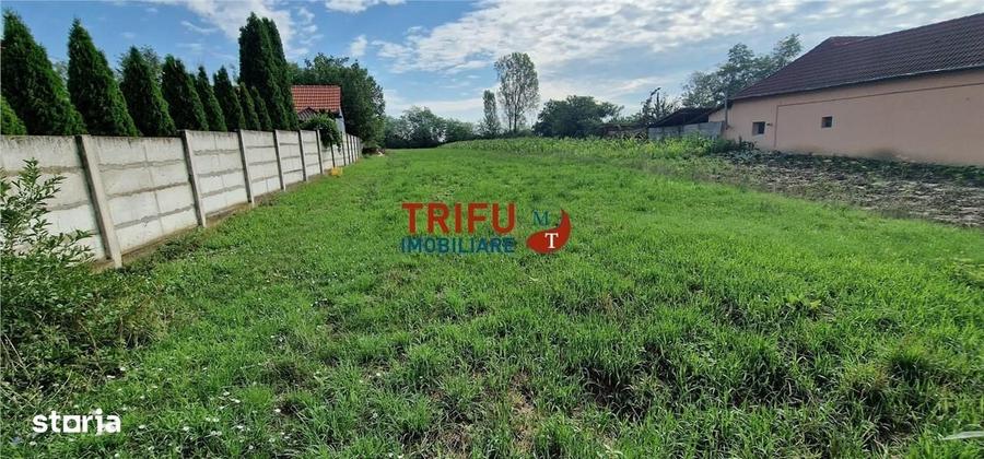 Spațiu comercial, în Ighiu