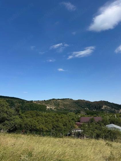 Teren de 2580 mp, în Poiana