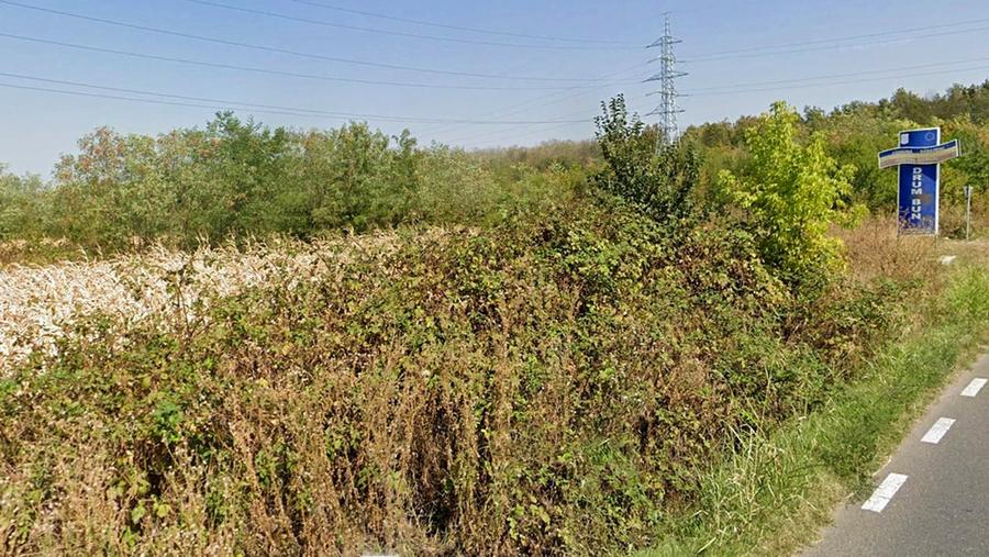 Teren intravilan 1.936 mp, lângă pădure – Săbăreni, Giurgiu, langa DN7 - 5