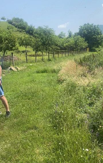 Teren de 2500 mp, în Sibiciu de Sus