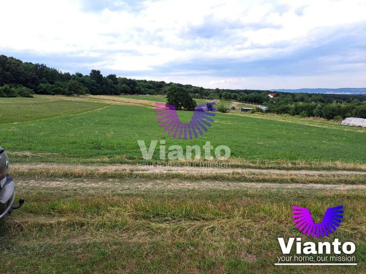 Teren agricol extravilan de 3100 mp, în Rășinari