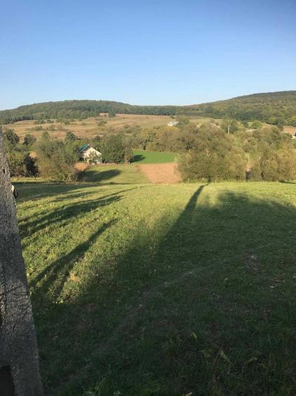 Teren de 2500 mp, în Dărmănești