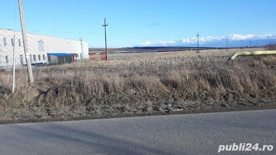 Teren de 22500 mp, în Central