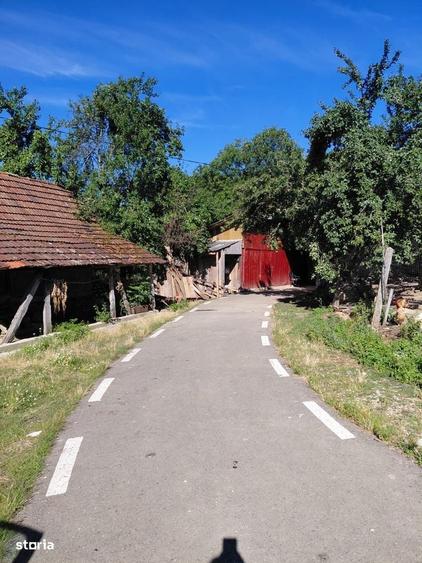 Casă cu 2 camere în Luncșoara