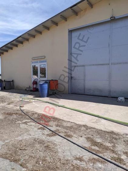 Ferma Zootehnica Satchinez, | 9,5 ha teren,vanzare sau schimb pentru jumatate din valoare - 12