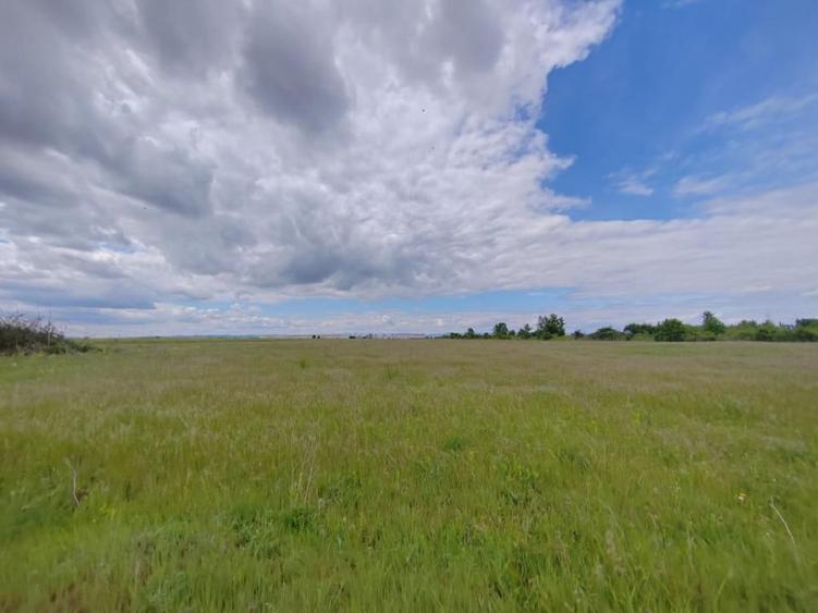 Teren de 114000 mp, în Ariceștii Rahtivani