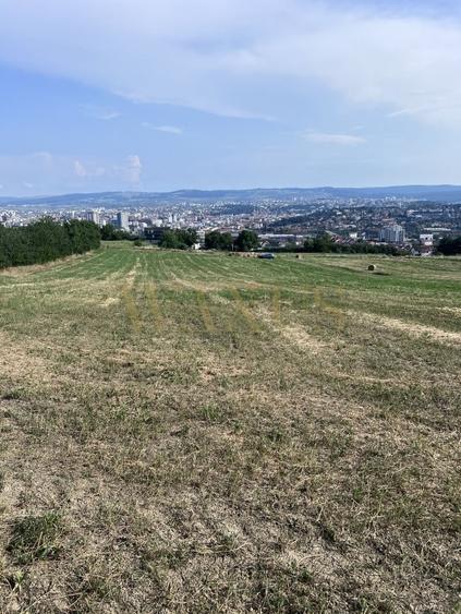 Teren agricol intravilan de 3150 mp, în Dâmbul Rotund