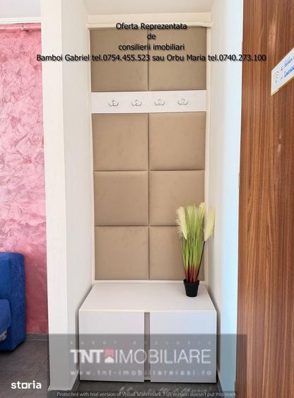 Apartament cu 2 camere în Podu Roș