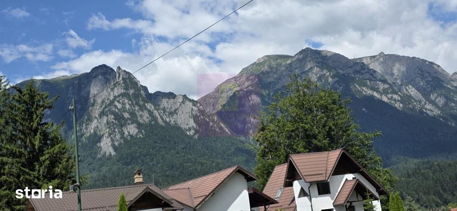 Teren de 1000 mp, în Zamora