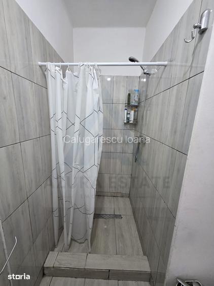 Studio la curte utilat complet cu terasa zona Lazaret