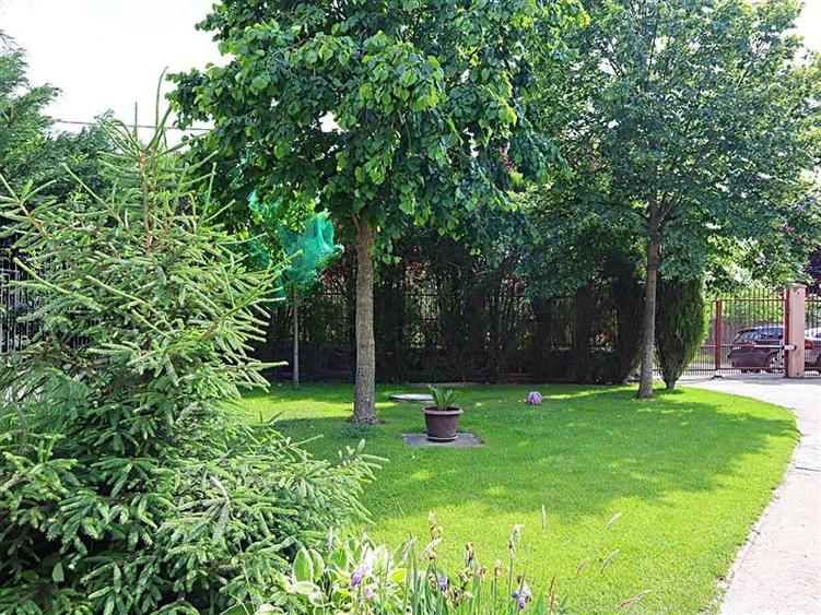 Vila/Casa cu teren generos langa Padurea Verde intrare Dumbravita - 20