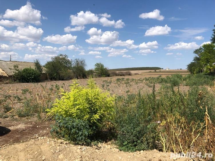 Teren de 3770 mp, în Chirnogeni