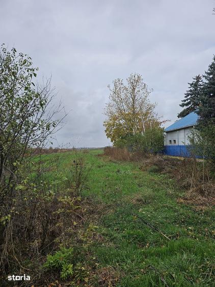 Teren de 18469 mp, în Butimanu