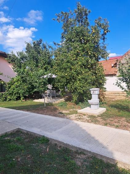 Casă cu 4 camere în Coșteiu
