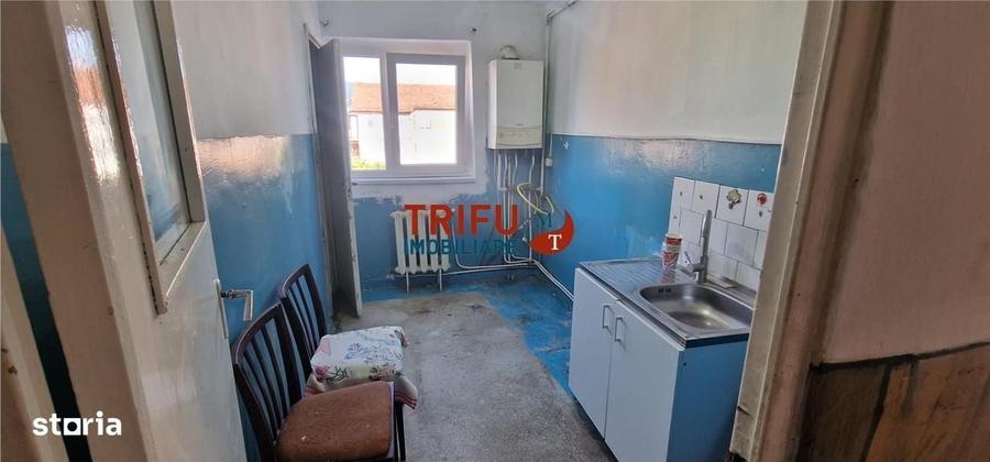 Apartament 2 camere de vanzare zona Cetate - 7