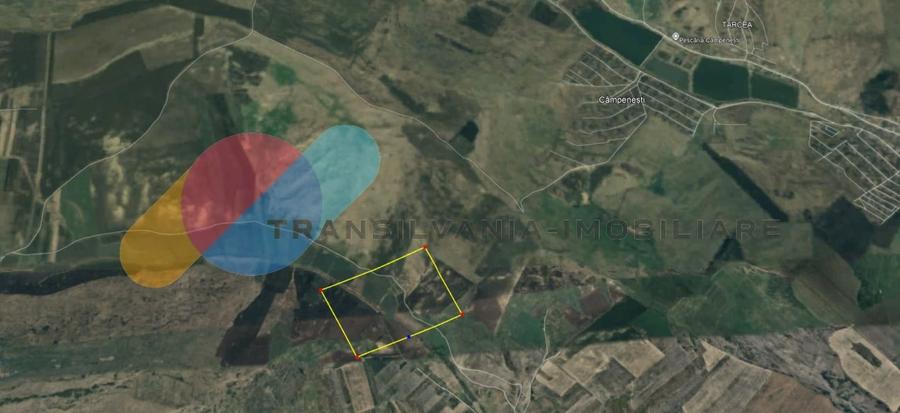 Teren agricol extravilan de 39867 mp, în Apahida