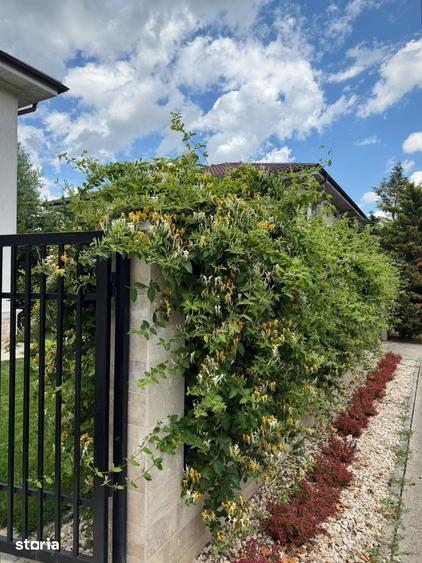 Casă cu 4 camere cu Teren 377 Mp în Corbeanca