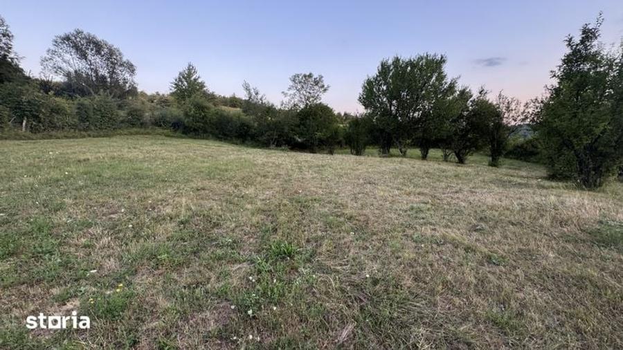 Teren de 5900 mp, în Baia de Fier